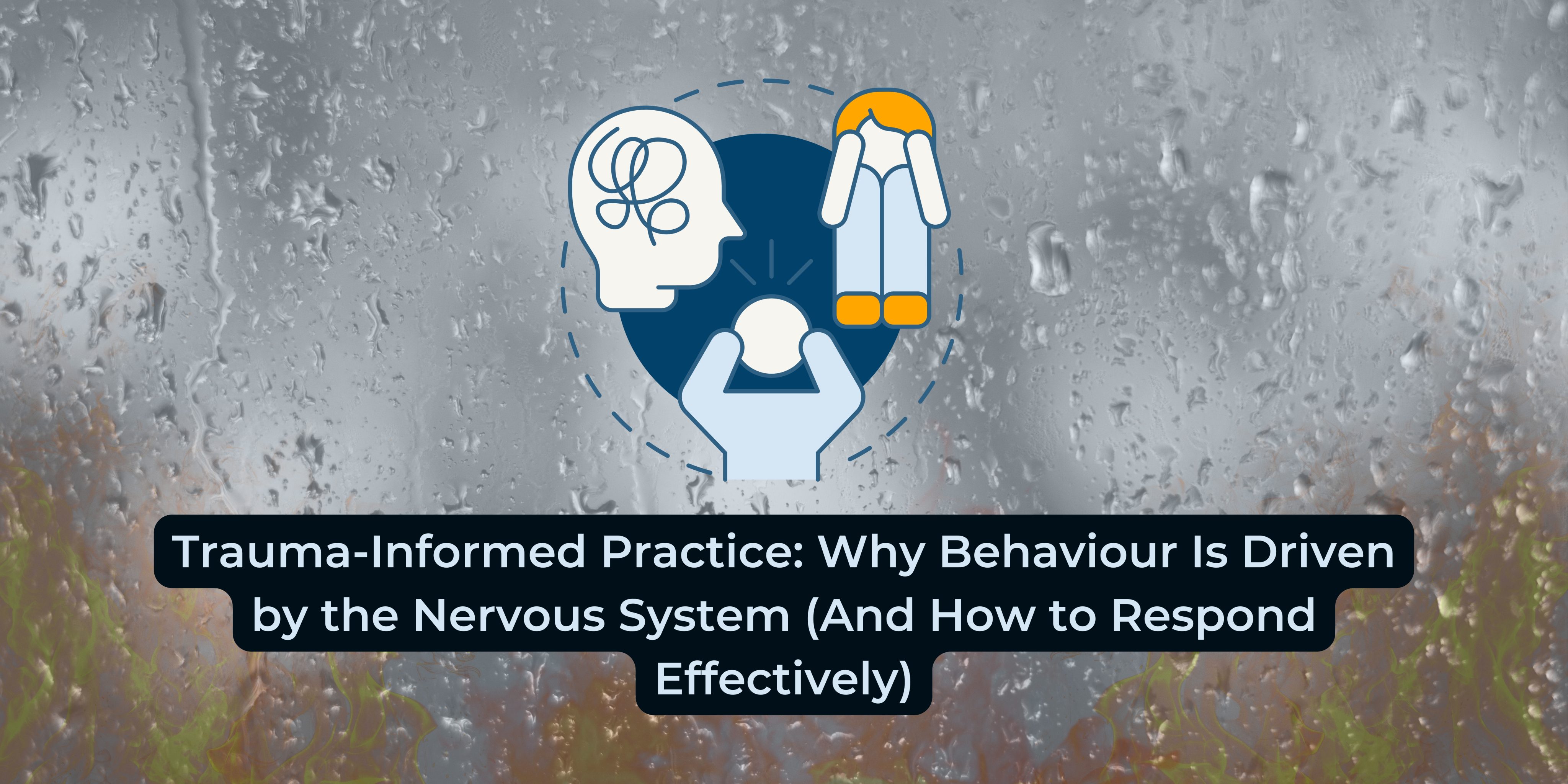 Trauma-Informed Practice: Why Behaviour Is Driven by the Nervous System (And How to Respond Effectively)